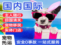 鸡西空运代理国际宠物托运 【国